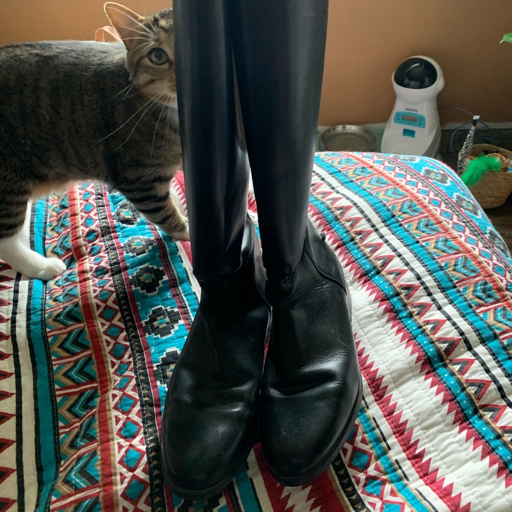 Ariat tall boots